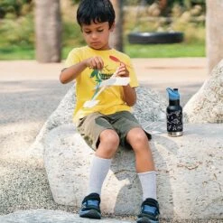 Klean Kanteen Insulated Kid Classic (355ml) - Sugarplum Fairy -Cheap Cook N Camp Store K12KVCPPS PD boys waterbottle airplane raphics lifestyle 1 f120d1f2 5790 40e2 8a6e cf45f2764df4