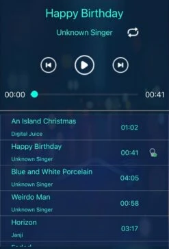 USB Powered 10M Dream Chasing Flagpole Led Light -Cheap Cook N Camp Store img 8691